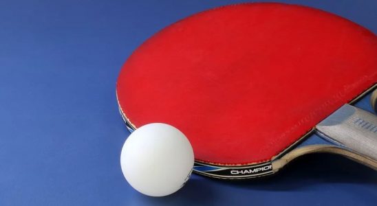 Une raquette et une balle de ping pong